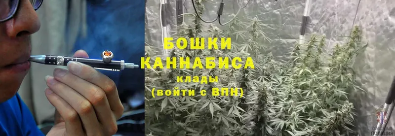 Каннабис SATIVA & INDICA  Ахтубинск 